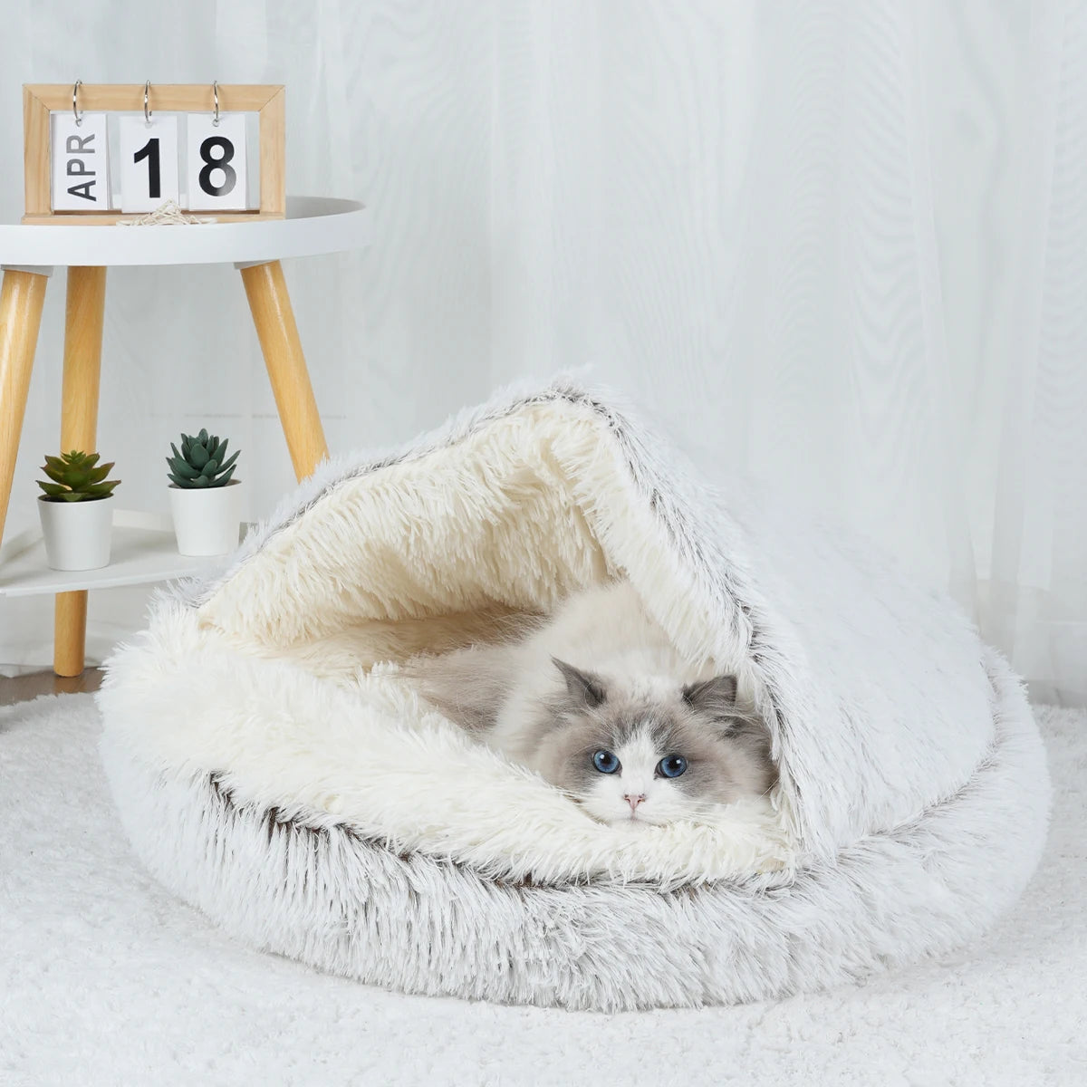 S4cd0d16000a54eec89bd54af76f3ef99T